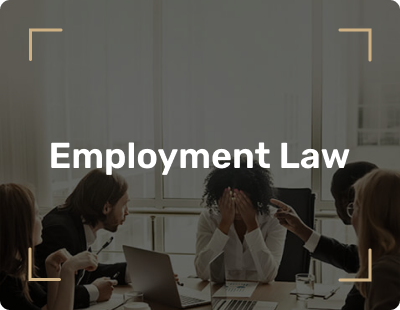 California Employment Law Practice Area